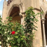 The cloister garden contains many varieties of fruit trees, herbs and flowers...lovingly tended to by the 83 year old gardener, Vicente.