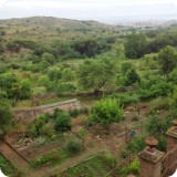 The monastery strived to be a self-sufficient community, and still has a large garden orchard overlooking the Mediterranean Sea.  The garden provided much of the delicious rustic fare the artists ate during their stay.