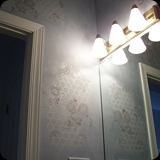 39 Powder Room; Ornamental Embossed Shimmerstone